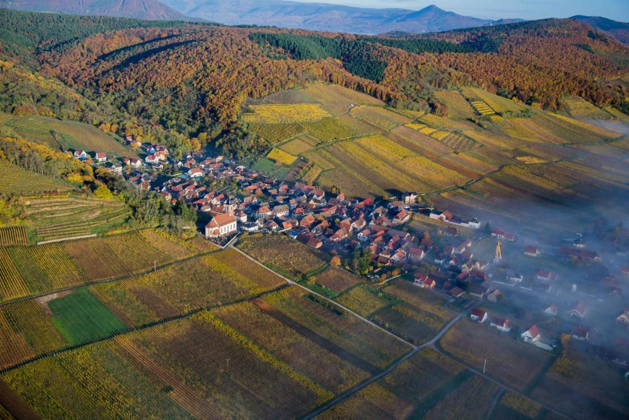 Maison De Ville Selestat Centre Luaran gambar